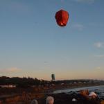 Cambria_0301 (November 02, 2013)